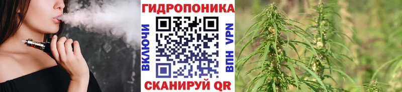 Купить где  Сибай  Бошки Шишки сатива 